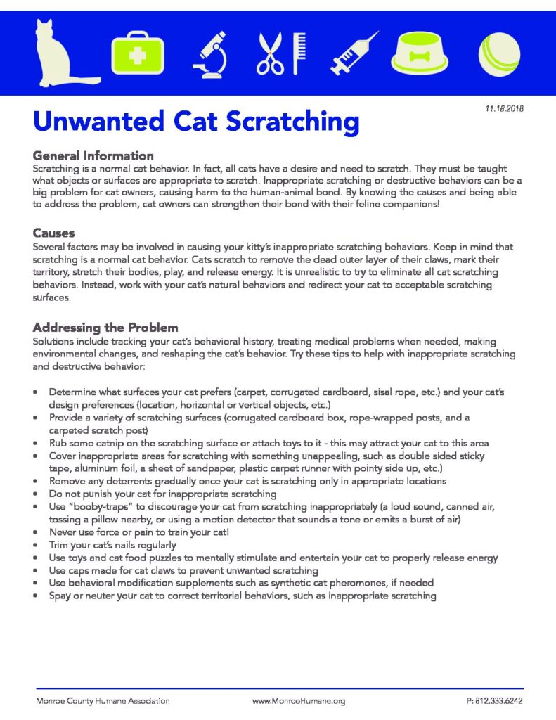 Unwanted-Cat-Scratching-pdf-791x1024