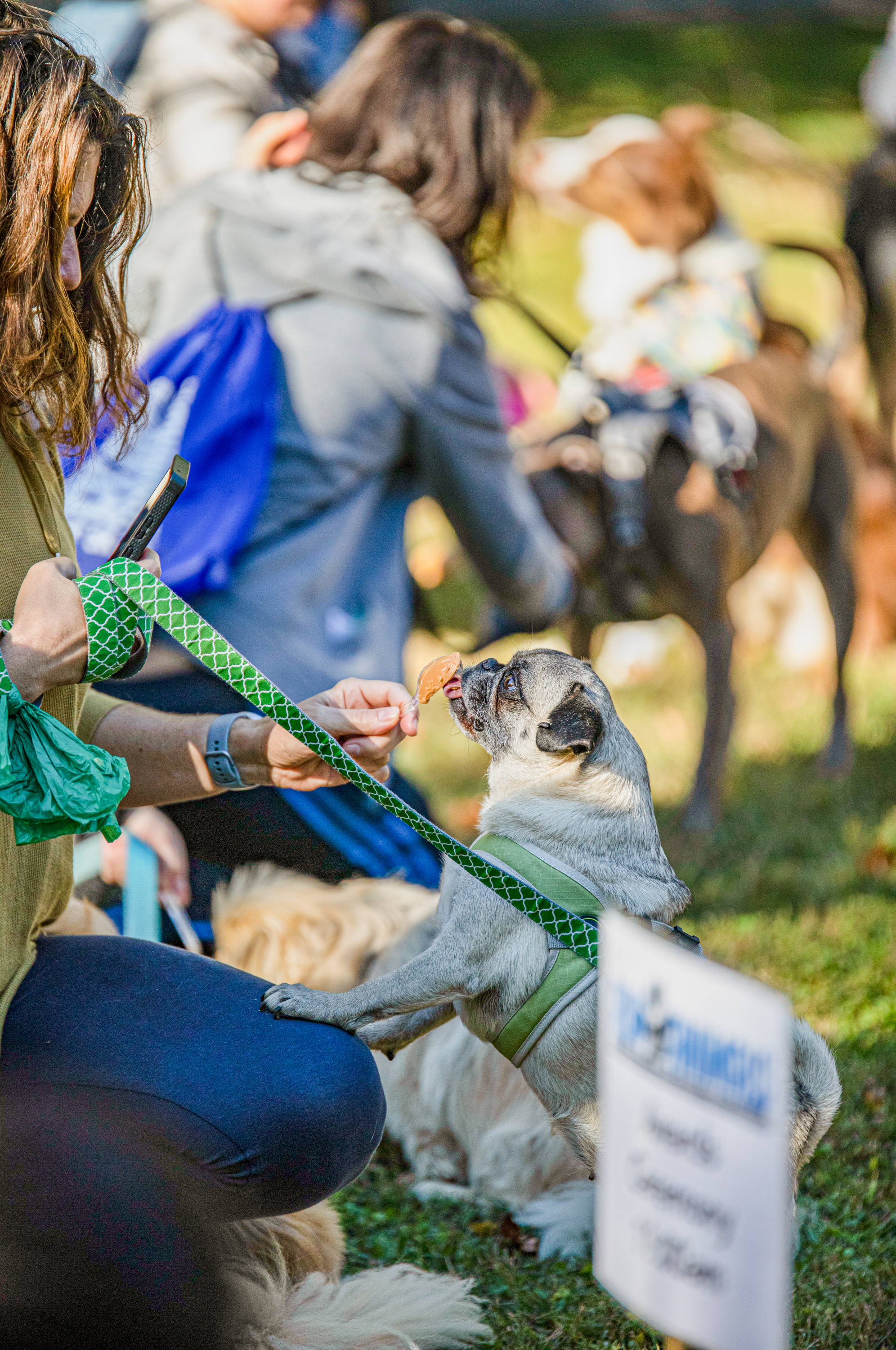 MCHA 2022 Run for The Animals-164
