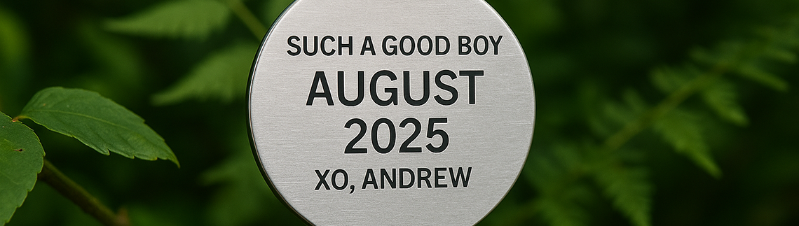 ChatGPT-Image-Jul-30,-2025,-10_35_53-AM