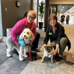 Photo credit: K Taylor