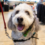 Photo credit: Luke Miller Photography